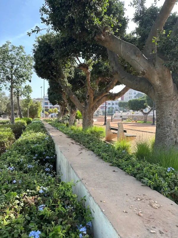 Jardin de Palestine