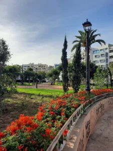 Jardin de Palestine