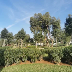 Parc Casa Nearshore Casablanca