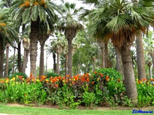 Parc de l’Hermitage