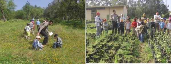 Écomusée De La Forêt De La Mâamora