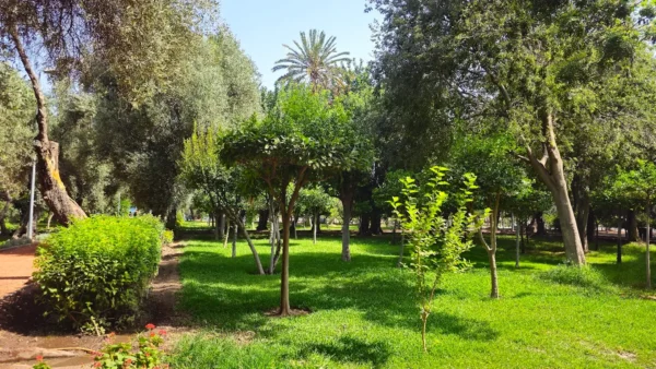 Cyber Parc Arsat Moulay Abdeslam