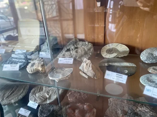 Muséum National d’Histoire Naturelle