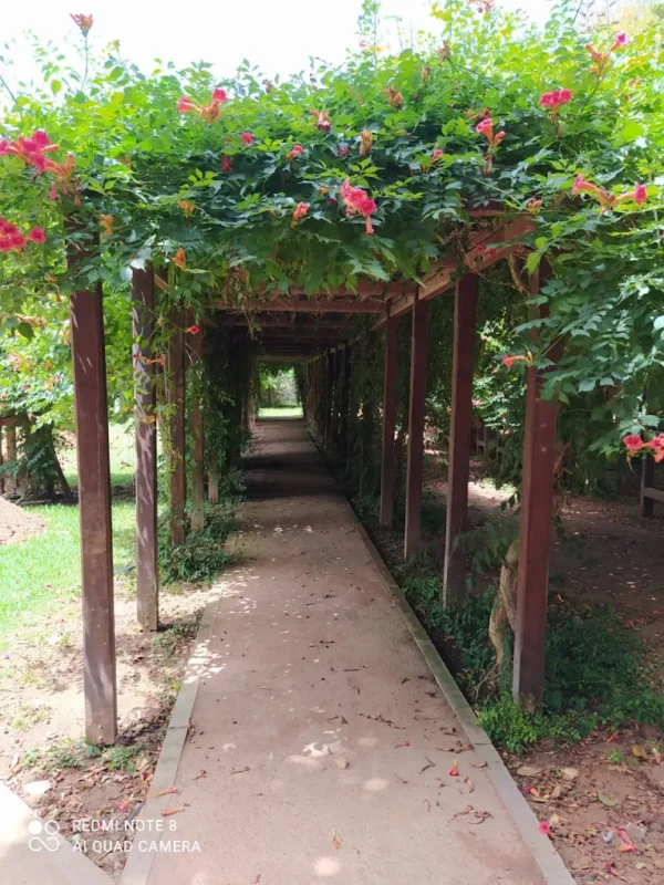 Jardin du Belvédère Rabat
