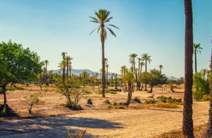 Palmeraie de Marrakech