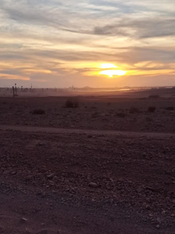 Palmeraie de Marrakech