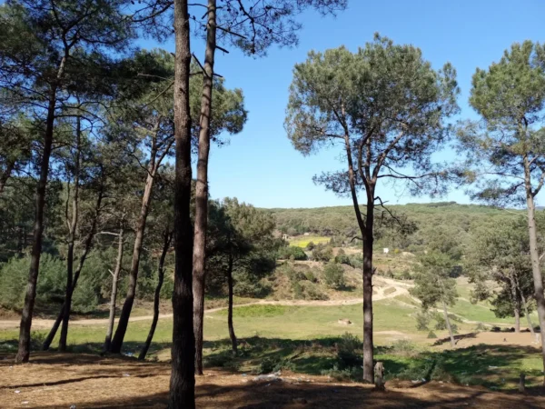 Parc Rahrah