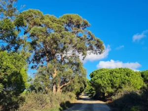 Parc Rahrah