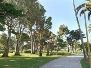 Villa Harris Garden