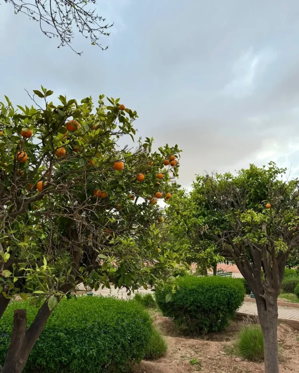 Parc Lalla Hasna
