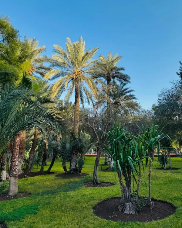 Cyber Parc Arsat Moulay Abdeslam
