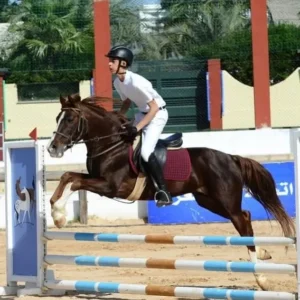 Club Equestre Ain Amyer