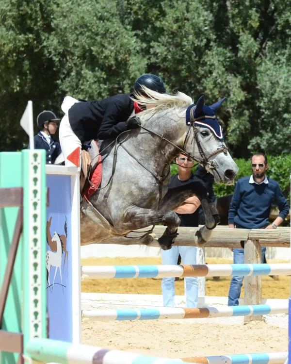 Club Equestre Ain Amyer
