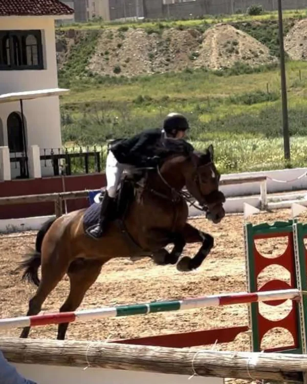 Club Equestre Ain Amyer