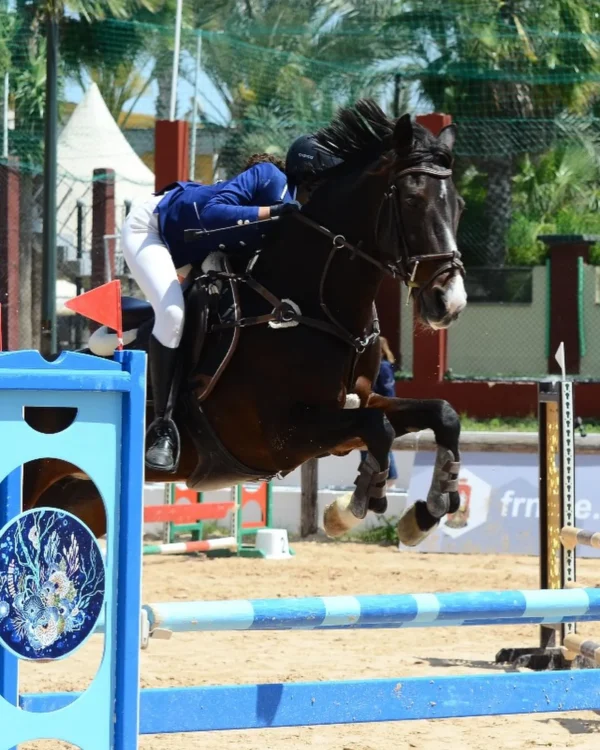 Club Equestre Ain Amyer