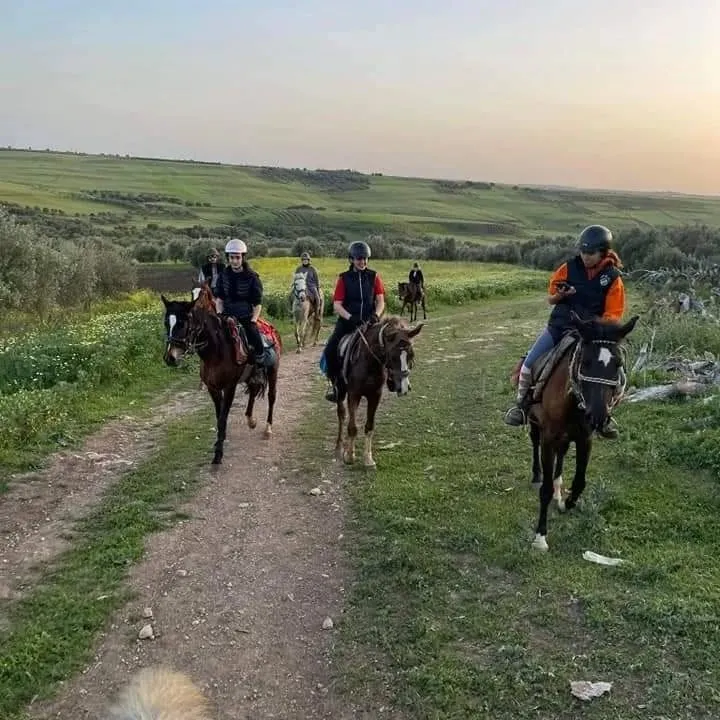 Club Farah D’équitation