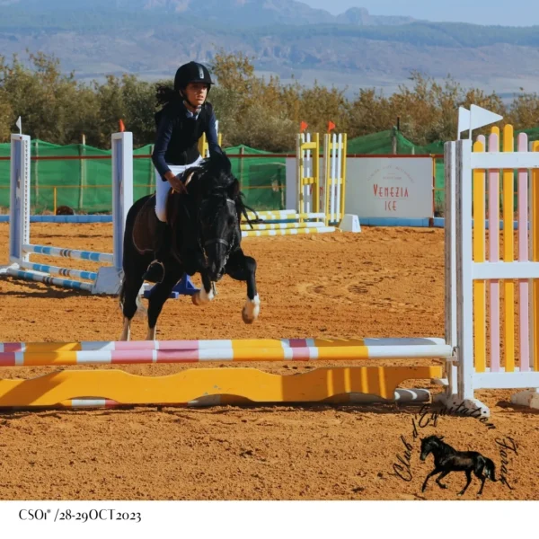 Club Farah D’équitation