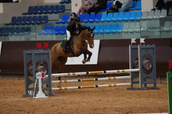 Club Farah D’équitation