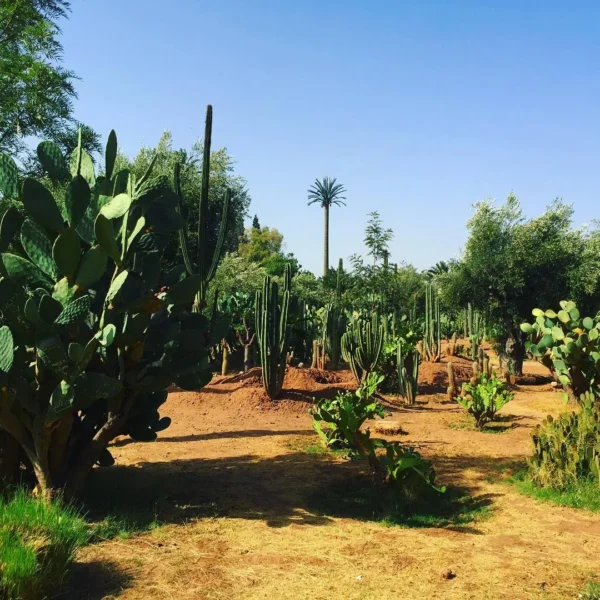 Jardin Jnane El Harti