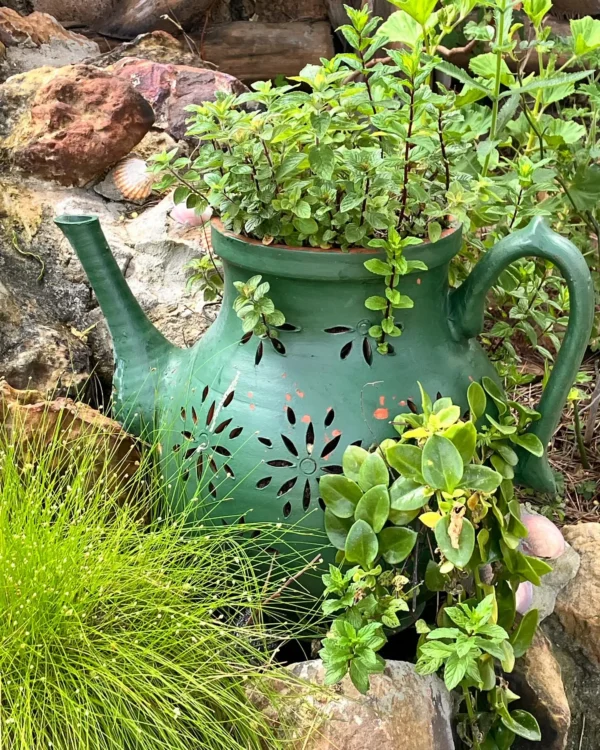 Donabo Botanical Gardens
