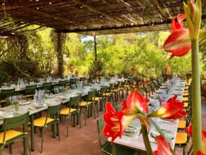 Donabo Botanical Gardens