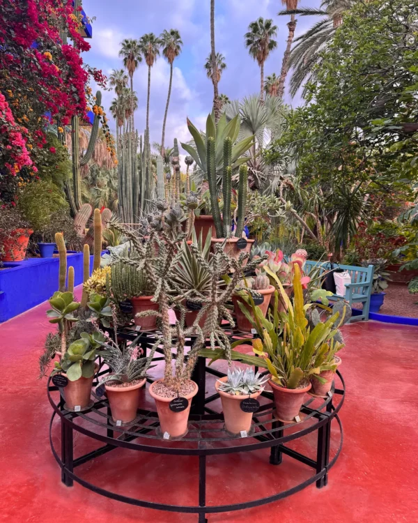 Le Jardin Majorelle