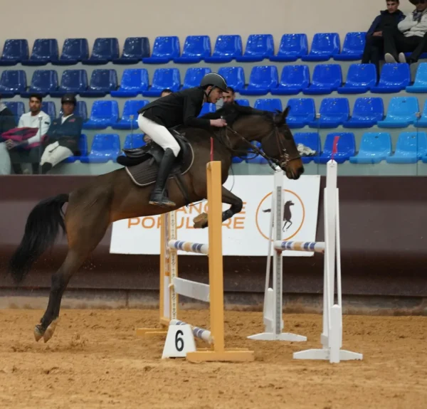 Club Equestre Ain Amyer
