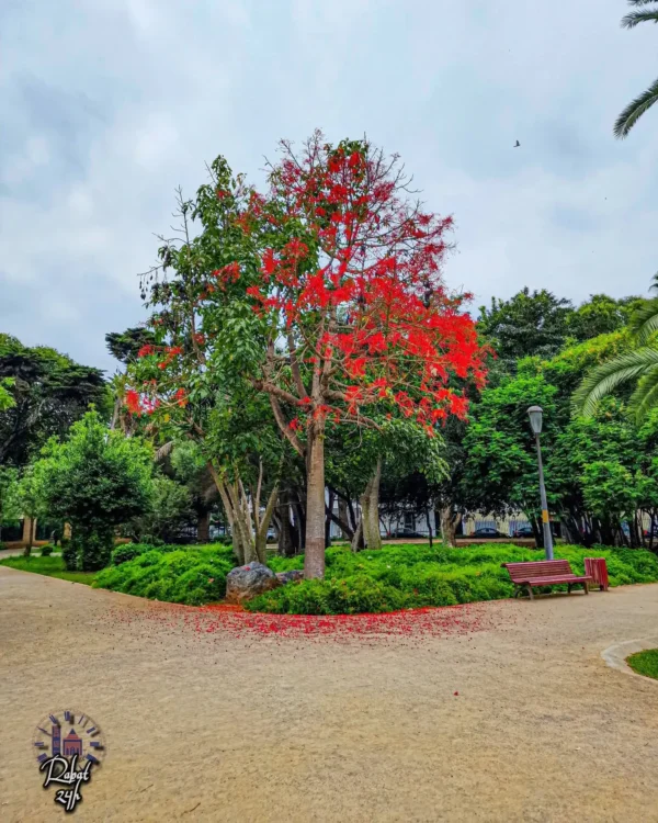 Jardin Nouzhat Hassan