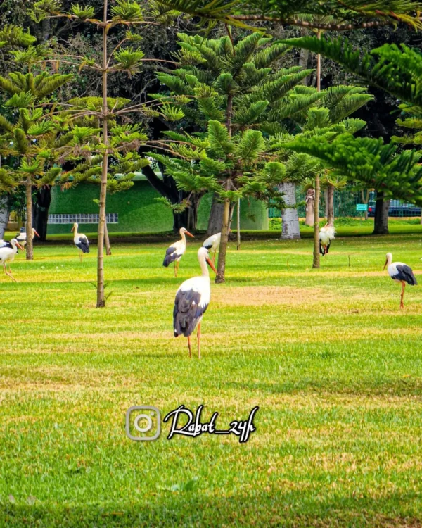 Parc Hassan II