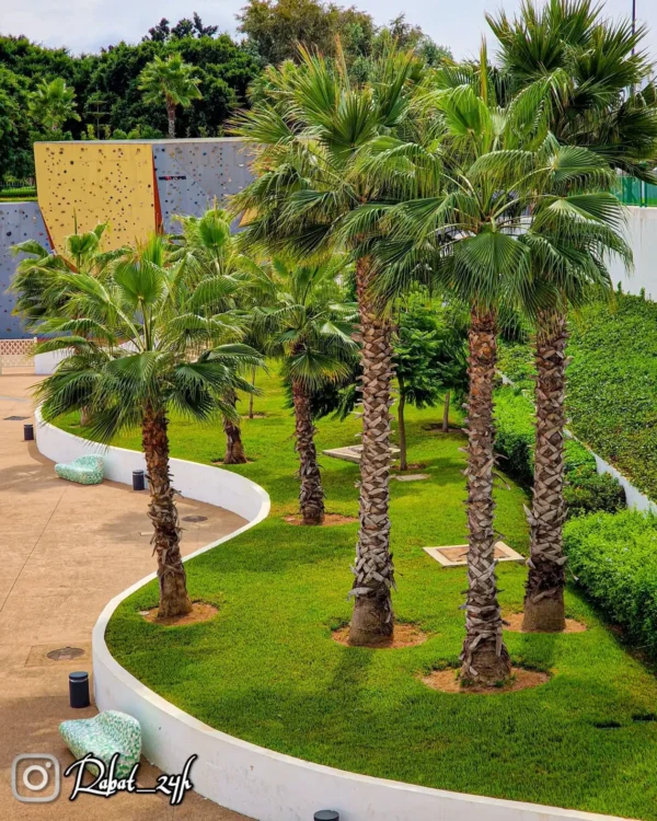 Parc Hassan II