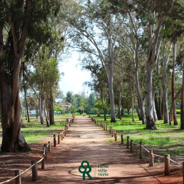Forêt Urbaine Ibn Sina