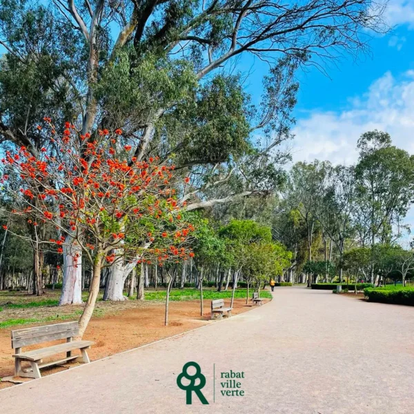 Forêt Urbaine Ibn Sina
