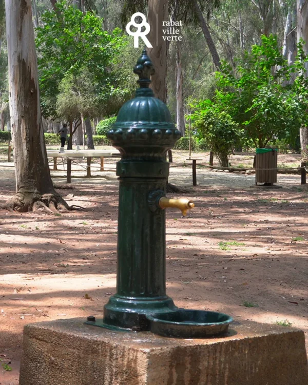 Forêt Urbaine Ibn Sina