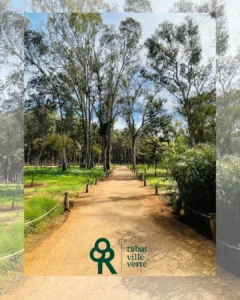 Forêt Urbaine Ibn Sina