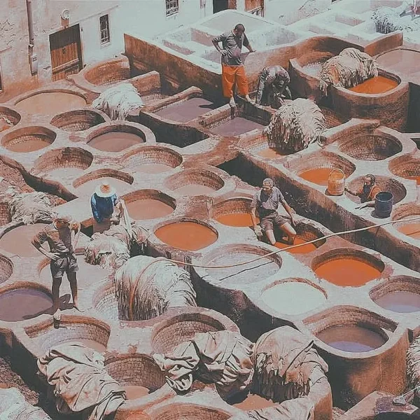 Tanneries Chouara