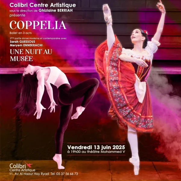 Spectacle de Danse Coppélia & La Nuit au Musée