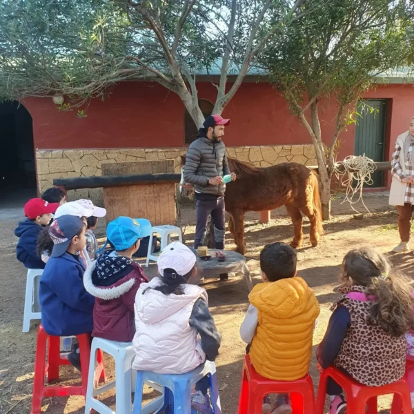 Groupe Scolaire La Ruche OULFA
