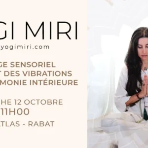 Conférence interactive le secret des vibrations vers l'harmonie intérieure