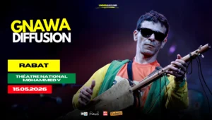 Gnawa Diffusion en concert