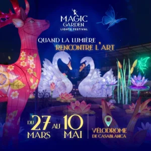 Magic Garden Light Festival – 01/04